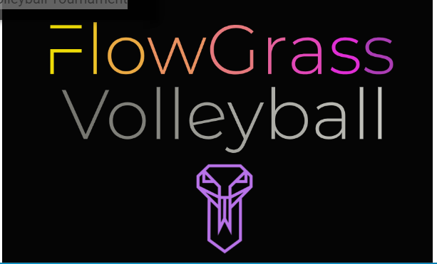 Read more about the article Flowgrass Volleyball Tournament